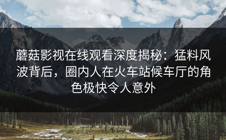 蘑菇影视在线观看深度揭秘：猛料风波背后，圈内人在火车站候车厅的角色极快令人意外